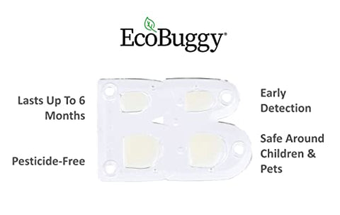 EcoBuggy Bed Bug Trap - Pack of 12
