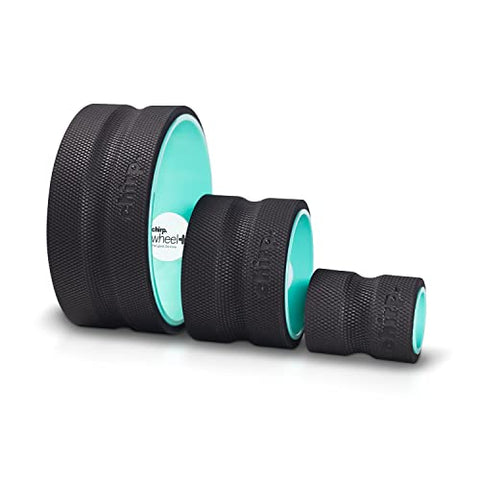 Chirp Foam Roller, 4 x 4 x 24 inches