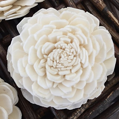 Eco Flower Sola Wood Flowers - One Dozen Wholesale