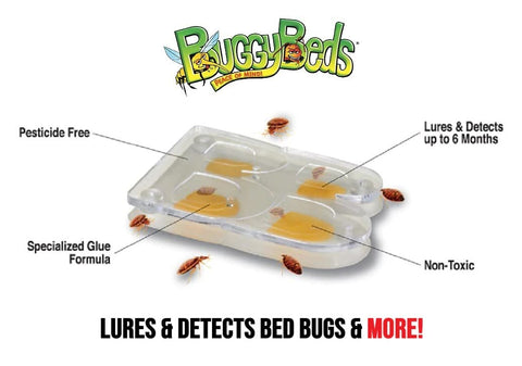 BuggyBeds Bed Bug Glue Traps - 12 Pack
