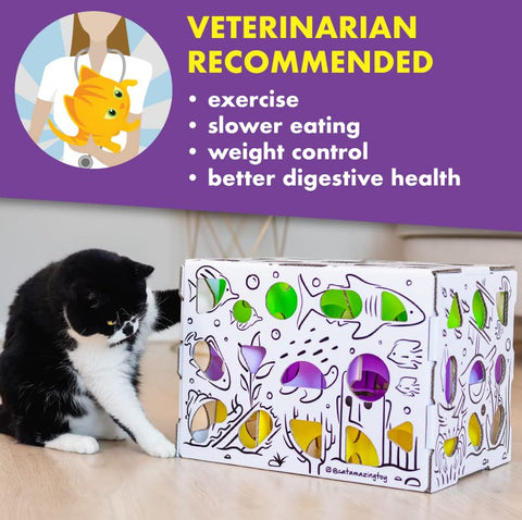 Cat Amazing MEGA Treat Puzzle Box