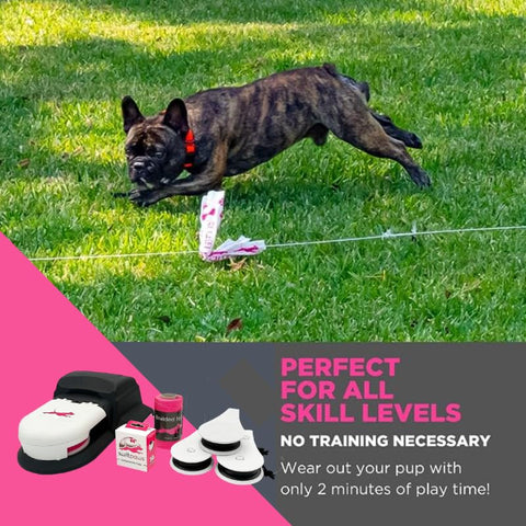 SwiftPaws Remote-Control Chase Toy for Dogs, Flag Lure Course