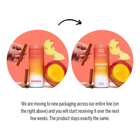 Moment Botanical Water STILL Spiced Mango L-Theanine (12 Cans)
