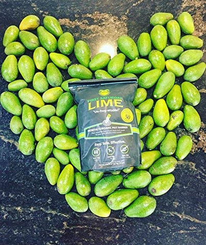First Saturday Lime for Insects - 20lb