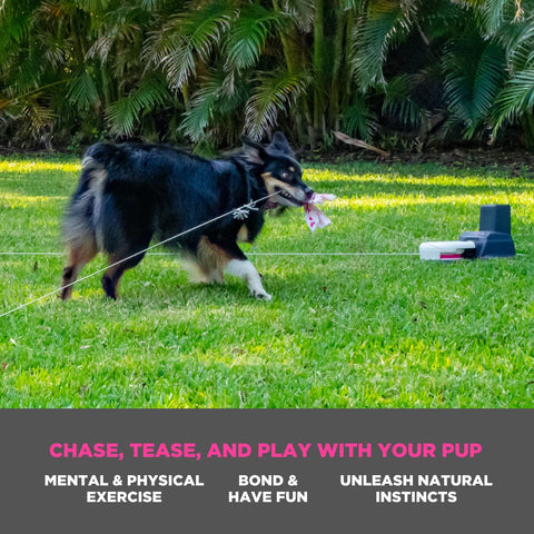 SwiftPaws Remote-Control Chase Toy for Dogs, Flag Lure Course