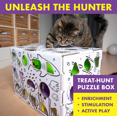 Cat Amazing MEGA Treat Puzzle Box