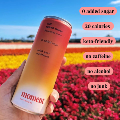Moment Botanical Water STILL Spiced Mango L-Theanine (12 Cans)