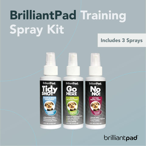 BrilliantPad Puppy Training Spray Kit