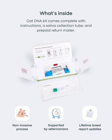 Basepaws - Cat Dental Health Test