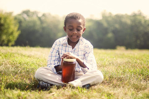 Unfiltered Raw Ginger Honey by Zach & Zoe Sweet Bee Farm (16oz)