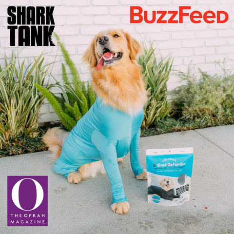 Shed Defender Sport Dog Onesie, Shedding Bodysuit, Large