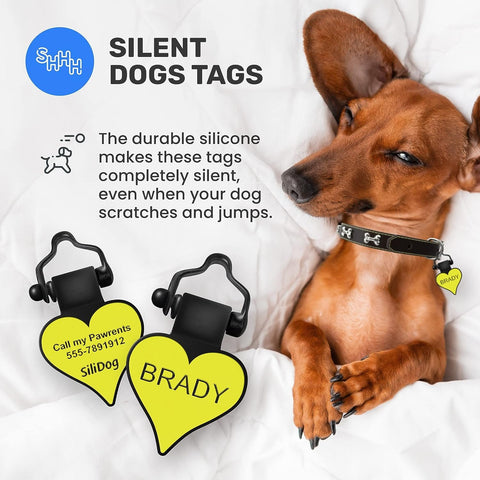 SiliDog Two Pack Silicone Silent Pet Tag