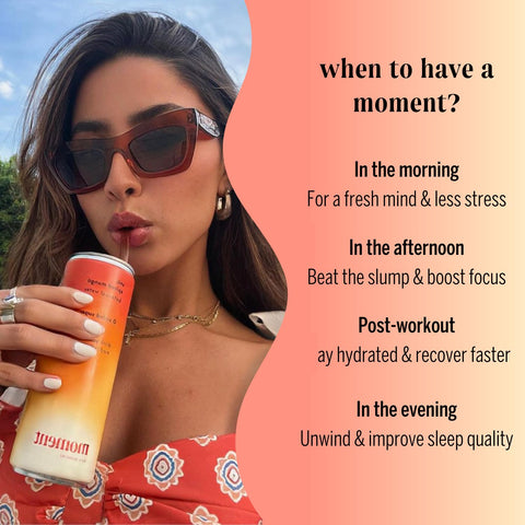 Moment Botanical Water STILL Spiced Mango L-Theanine (12 Cans)