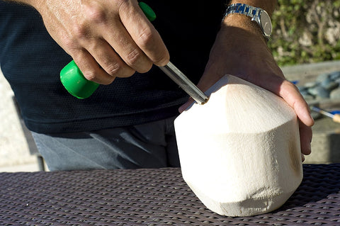 CocoTaps Coconut Tapper Easy Opening Tool + Sealing Taps