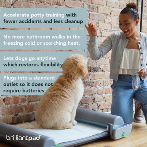 BrilliantPad Smart Indoor Dog Potty for Small Pets