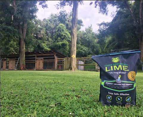 First Saturday Lime for Insects - 20lb